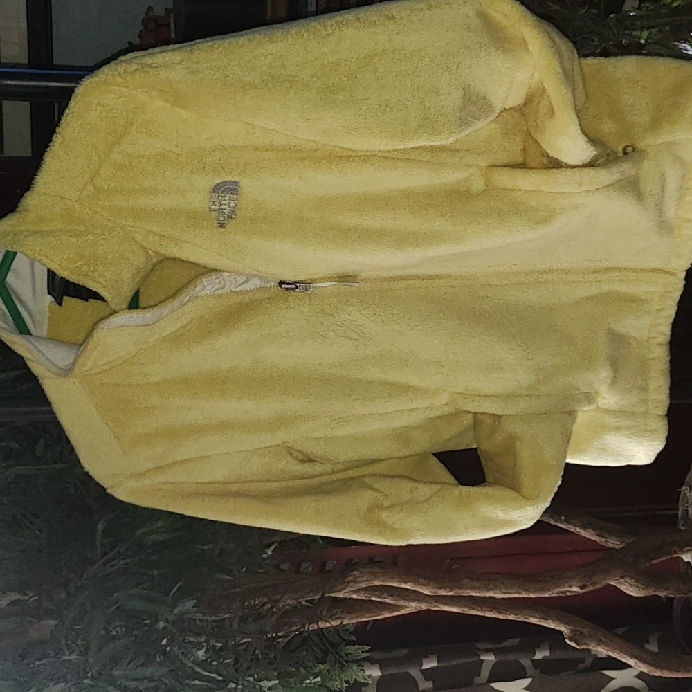 Northface Fleece